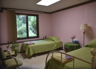 Freesia room at the Self Realization Sevalight Centre for Pure Meditation, Healing & Counselling, Bath MI USA